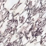 Calacatta Viola